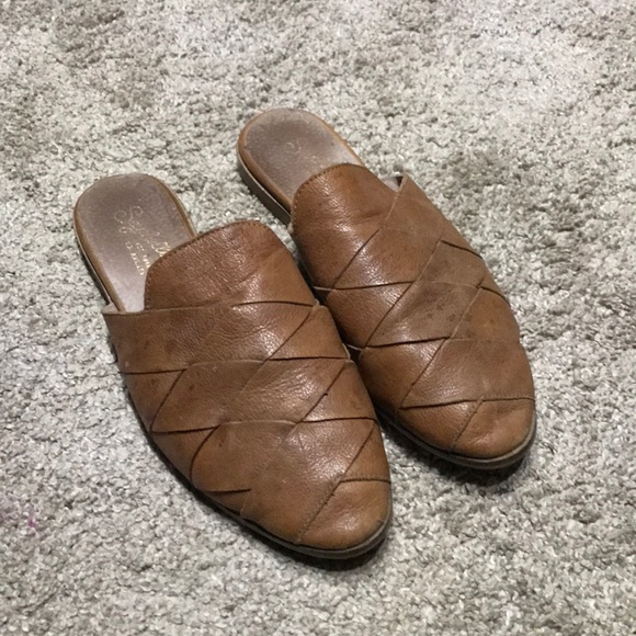 seychelles survival mule